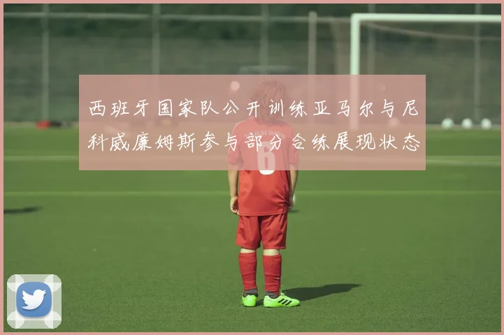 西班牙国家队公开训练亚马尔与尼科威廉姆斯参与部分合练展现状态