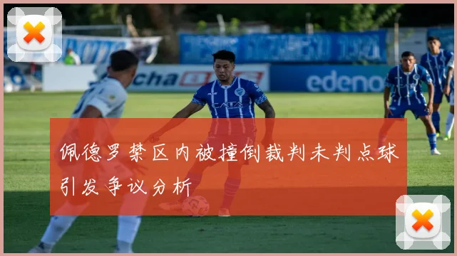 佩德罗禁区内被撞倒裁判未判点球引发争议分析